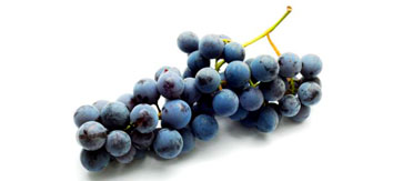 长治葡萄专用型噻苯隆在花期前使用方法